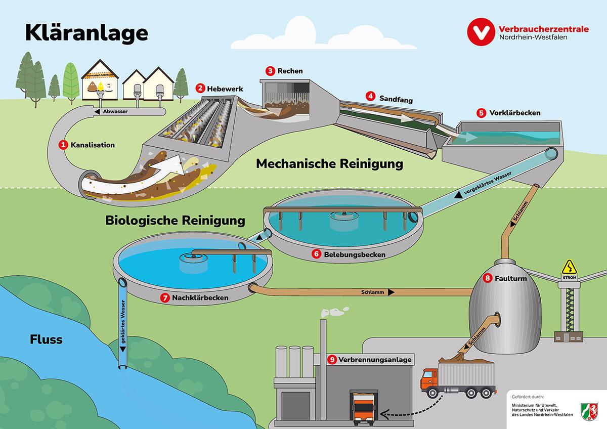 Schaubild des Weges des Abwassers über die Kläranlage bis in den Fluss