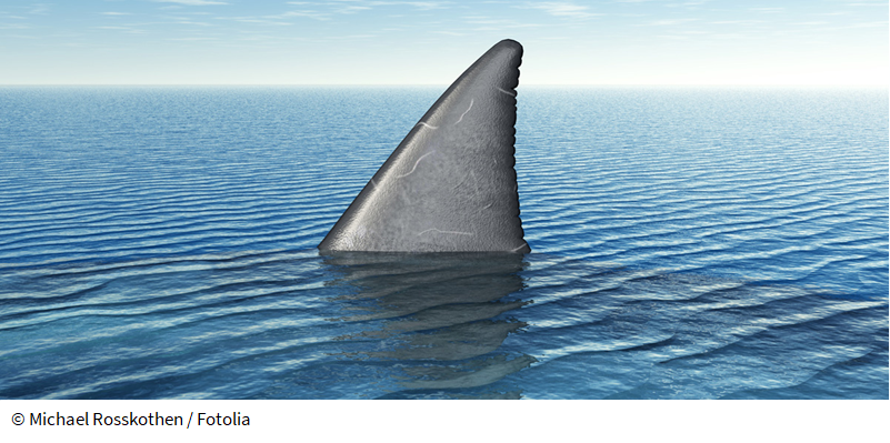 Achtung, Kanalhaie: So wehren Sie sich gegen aufdringliche Rohrsanierer