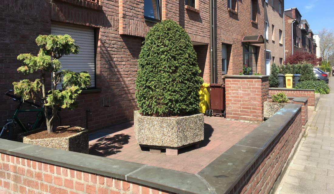 Stark versiegelter Vorgarten